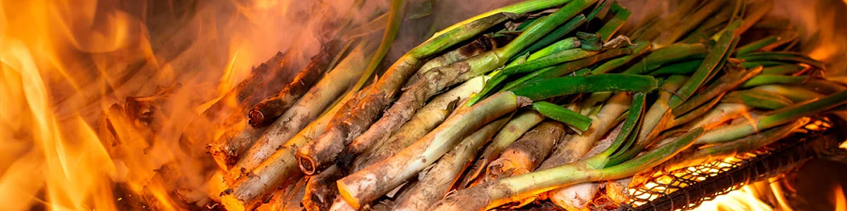 They’re here! Calçots season has begun!